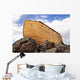 Noah's Ark close up Wall Mural
