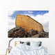 Noah's Ark close up Wall Mural