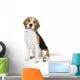 Beagle on white background Wall Decal