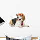 cute beagle dog isolated on white background Wall Decal
