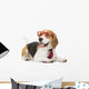 cute beagle dog isolated on white background Wall Decal