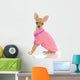 Chihuahua Dog in Pink Sweater Wall Decal