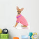 Chihuahua Dog in Pink Sweater Wall Decal