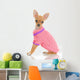 Chihuahua Dog in Pink Sweater Wall Decal