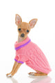 Chihuahua Dog in Pink Sweater Wall Decal