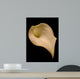 Cala Lilly Wall Mural