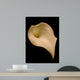 Cala Lilly Wall Mural