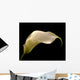 Cala Lilly Wall Mural
