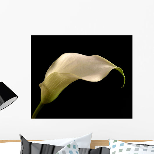 Cala Lilly Wall Mural