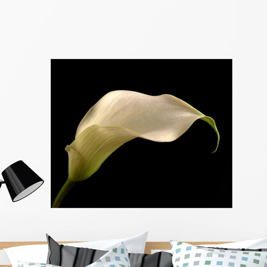 Cala Lilly Wall Mural