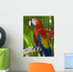 Macaw Wall Mural