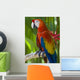 Macaw Wall Mural