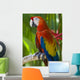 Macaw Wall Mural