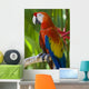 Macaw Wall Mural