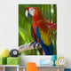 Macaw Wall Mural