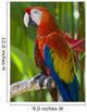 Macaw Wall Mural
