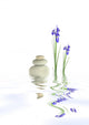 Zen Tranquility Wall Decal