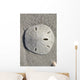 Sand Dollar Wall Mural
