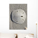 Sand Dollar Wall Mural