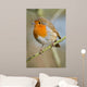 Robin Wall Mural