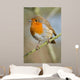 Robin Wall Mural