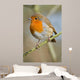Robin Wall Mural