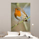 Robin Wall Mural