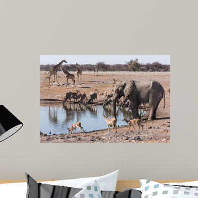 Gathering Wateringhole Animals Wall Mural shown on a wall