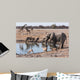 Etosha waterhole gathering Wall Mural