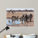 Etosha waterhole gathering Wall Mural