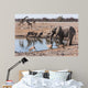 Etosha waterhole gathering Wall Mural