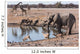 Etosha waterhole gathering Wall Mural