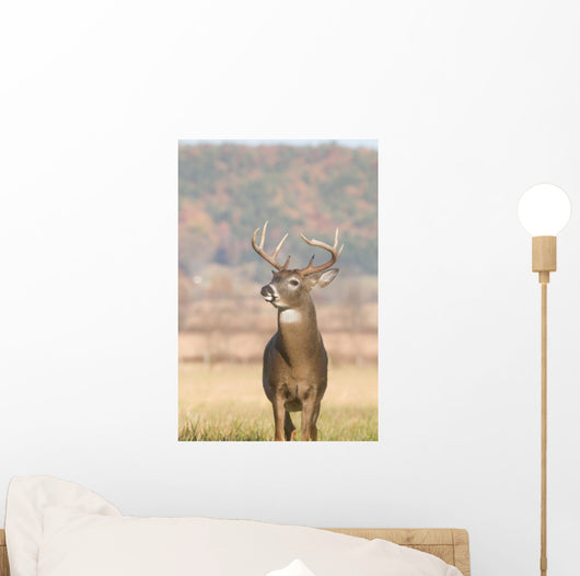 Whitetail Buck and Fall Wall Decal