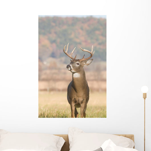 Whitetail Buck and Fall Wall Decal