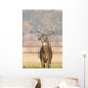 Whitetail Buck and Fall Wall Decal