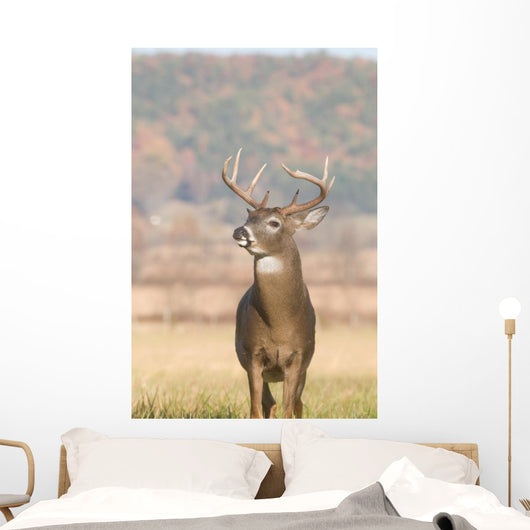 Whitetail Buck and Fall Wall Decal