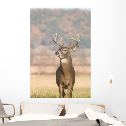 Whitetail Buck and Fall Wall Decal