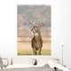 Whitetail Buck and Fall Wall Decal