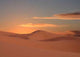 Dawn Desert from Morocco Wall Decal