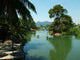 Mekong Wall Decal