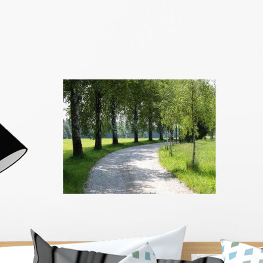 Curve Wall Decal