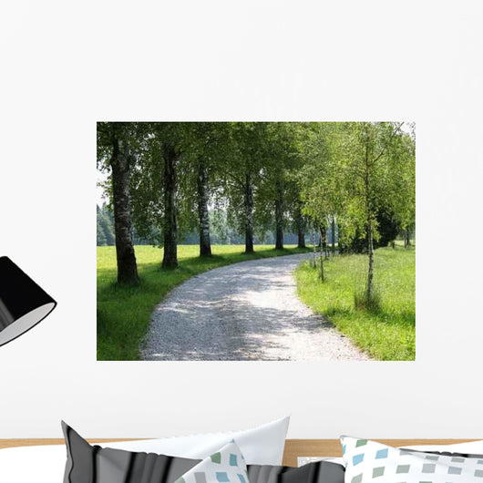 Curve Wall Decal