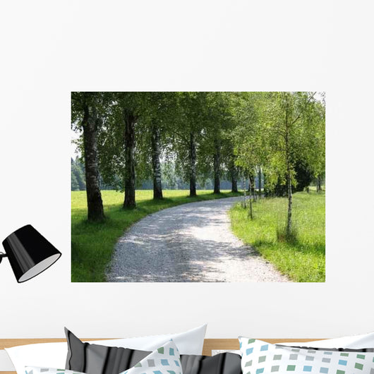 Curve Wall Decal