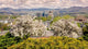 Spring City Boise Idaho Wall Decal