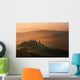 Dawn Wall Decal