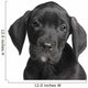 Puppy Great Dane 2 Months Wall Decal