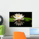 White Lotus Flower Wall Mural