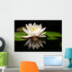 White Lotus Flower Wall Mural