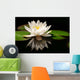 White Lotus Flower Wall Mural