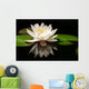 White Lotus Flower Wall Mural